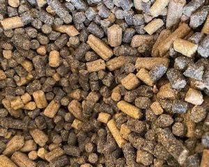 HONDENBROK GEMENGD PER KILO